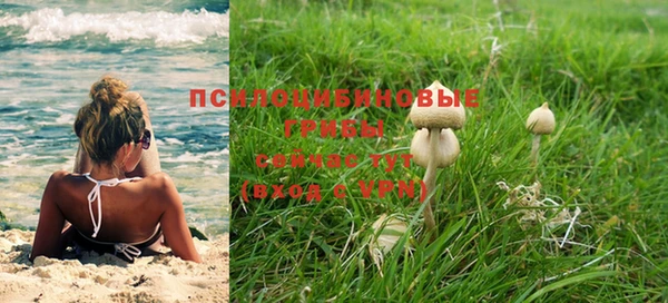 прущие крисы Елизово