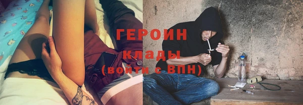 трава Ельня