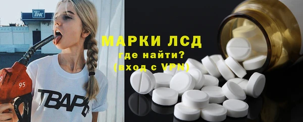 трава Ельня