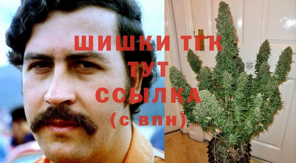прущие крисы Елизово