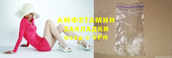 трава Ельня