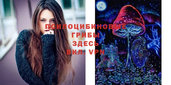 прущие крисы Елизово