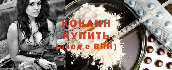 прущие крисы Елизово