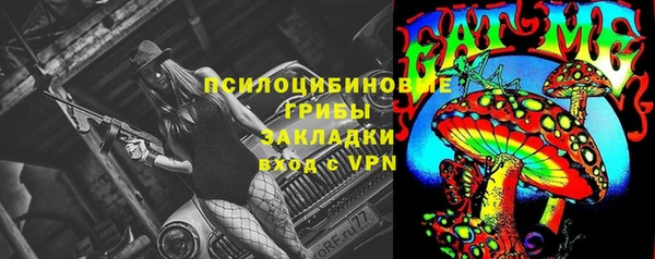 трава Ельня
