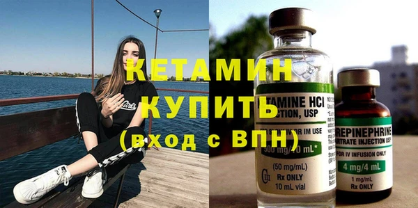 трава Ельня