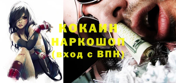 трава Ельня