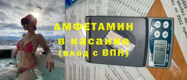 трава Ельня