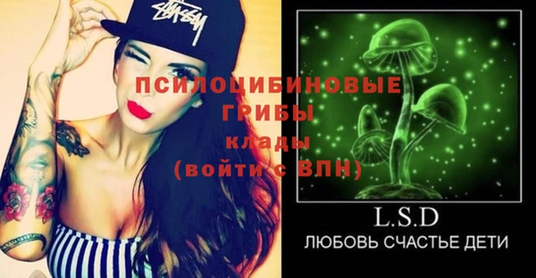твердый Елабуга